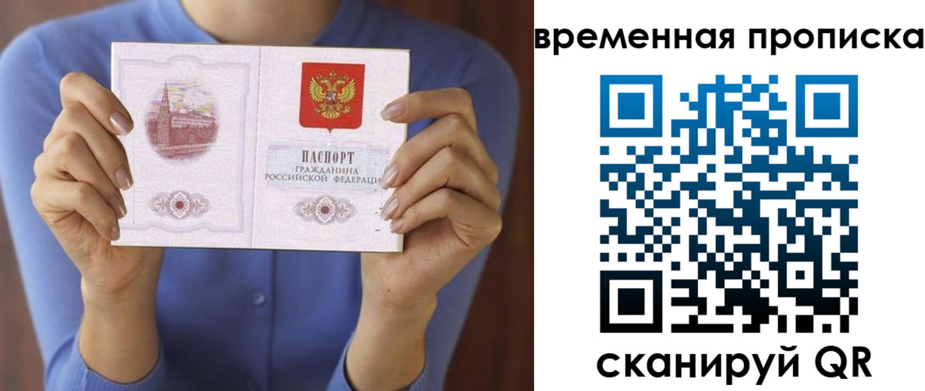 прописка поиск в Солнечногорске