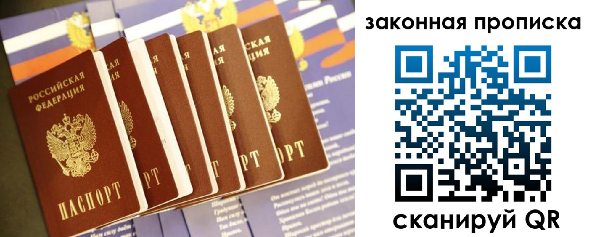 прописка 2025 в Солнечногорске